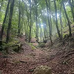 House In - Mountain View - *