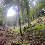 House In - Mountain View -