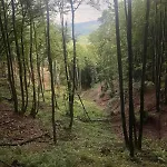 House In - Mountain View - * Kresevo