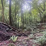 House In - Mountain View - Kresevo