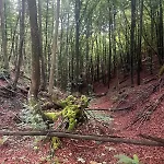 House In - Mountain View - Vikendica Kresevo