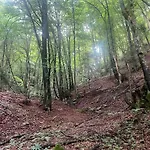 Vikendica House In - Mountain View -