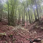 House In - Mountain View - *