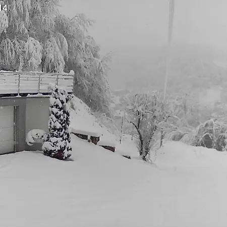 House In - Mountain View - *