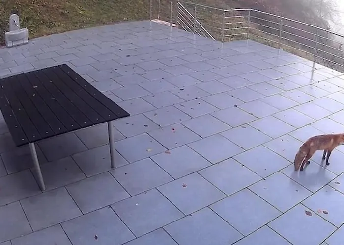 Vikendica House In - Mountain View -