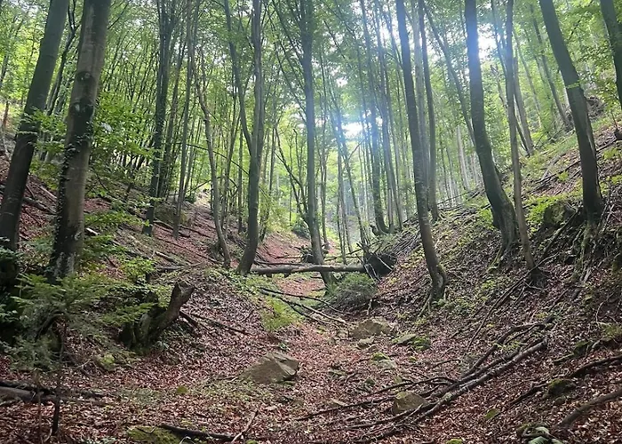 House In - Mountain View - *