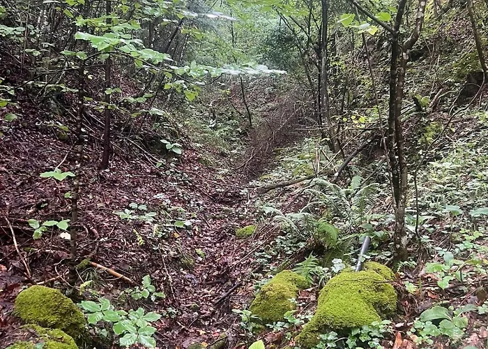 House In - Mountain View - Vikendica *