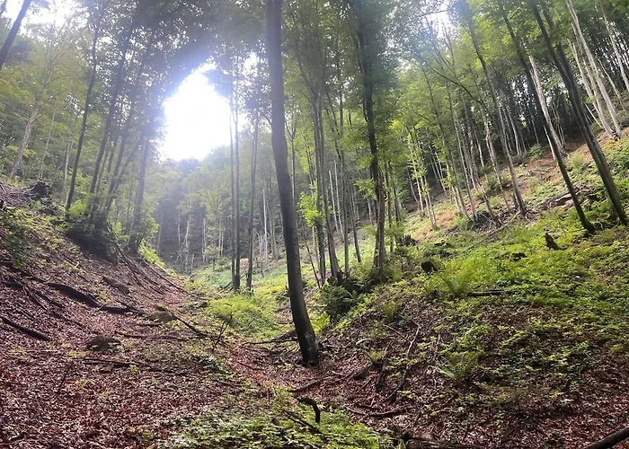 House In - Mountain View -