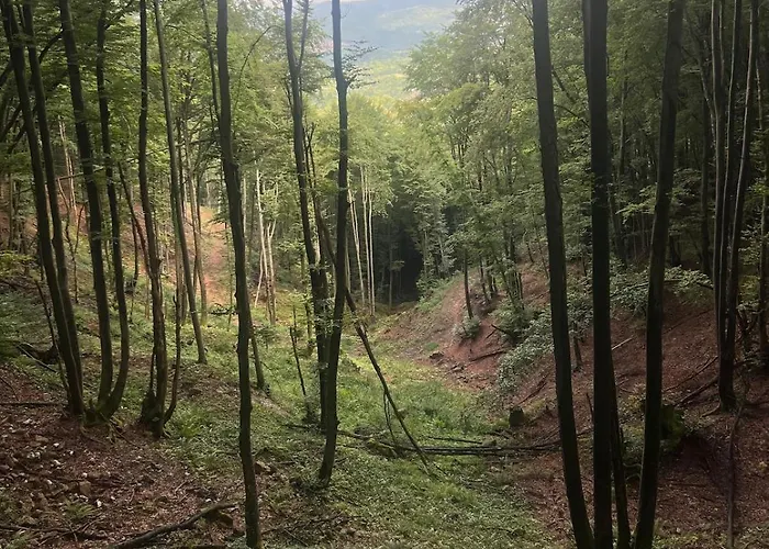 House In - Mountain View - * Kresevo