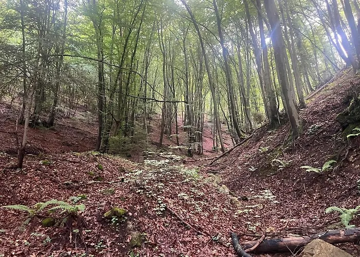 House In - Mountain View - *